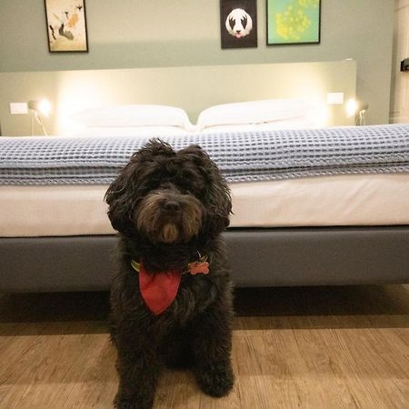 Aqualago Casa Vacanze Apartment E แวร์บาเนีย ภายนอก รูปภาพ